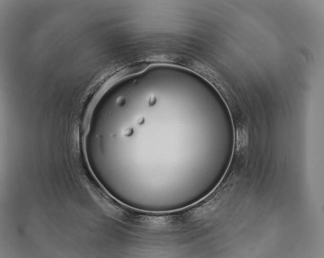 X0000110720349200906191510