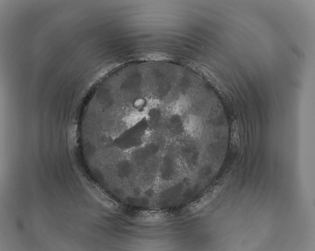 X0000110720351200906191510