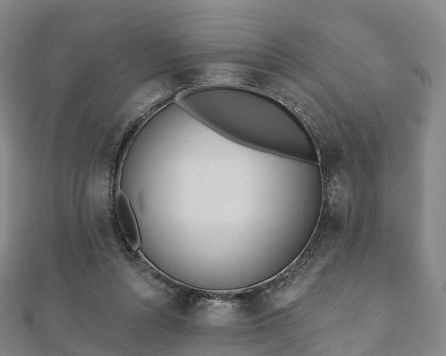 X0000110720352200906191510