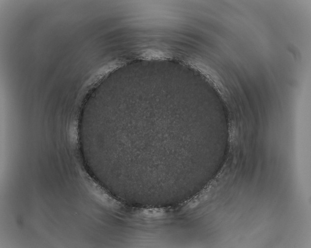 X0000110720353200906191510