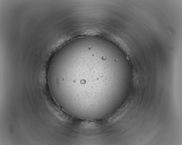 X0000110720354200906191510