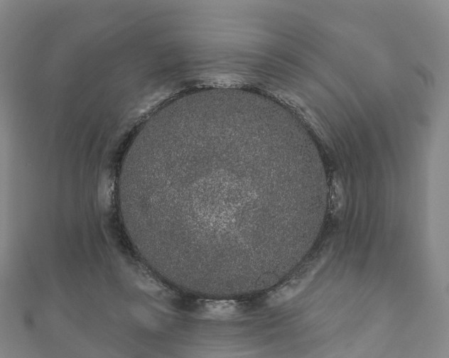 X0000110720355200906191510