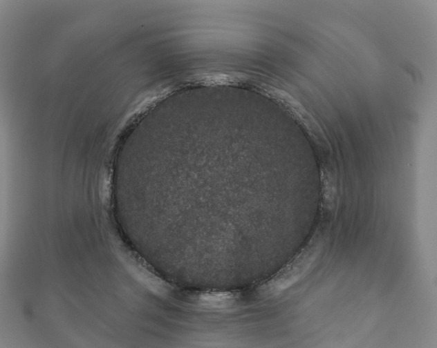 X0000110720357200906191510