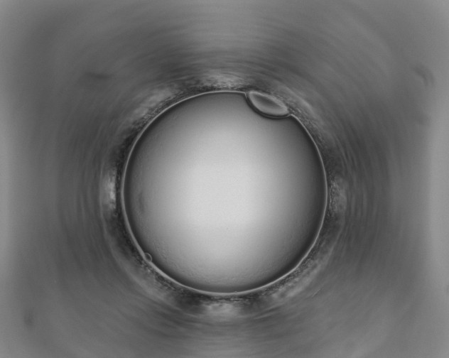 X0000110720358200906191510