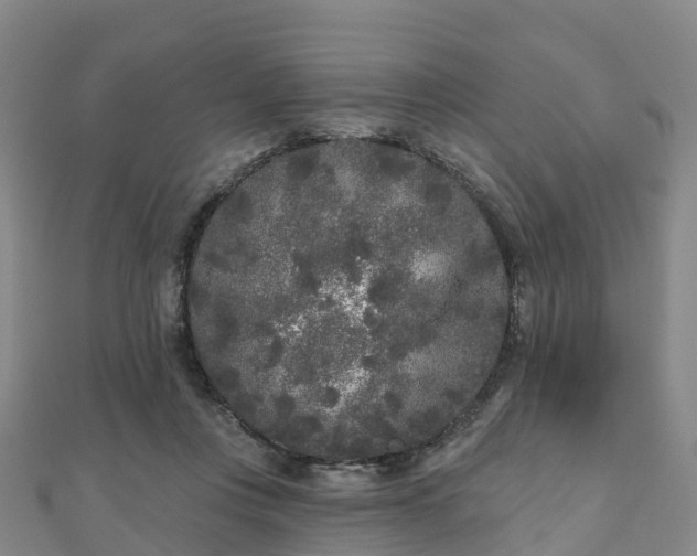 X0000110720359200906191510