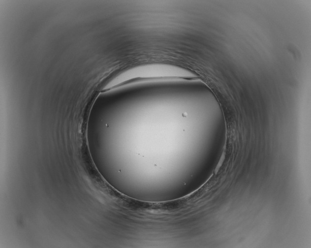 X0000110720360200906191510