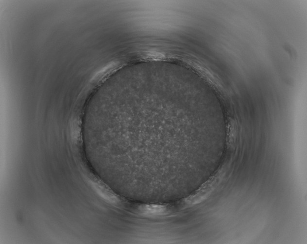 X0000110720361200906191510