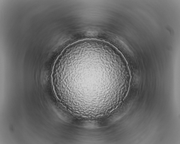X0000110720363200906191510