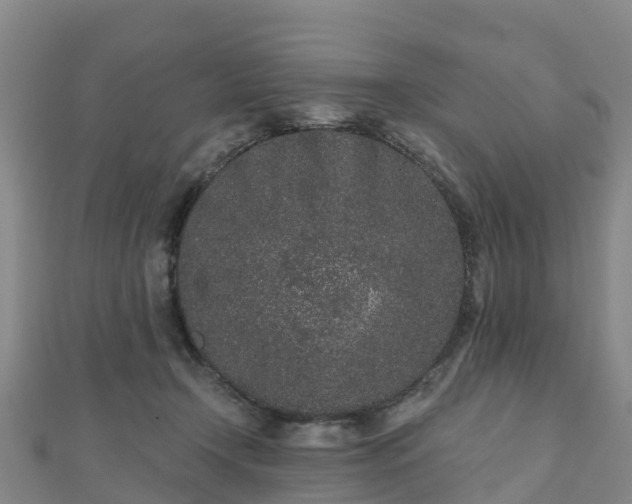 X0000110720366200906191510