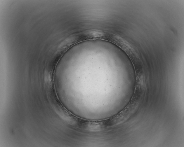 X0000110720373200906191511