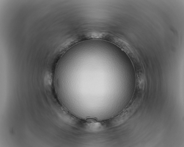 X0000110720374200906191511