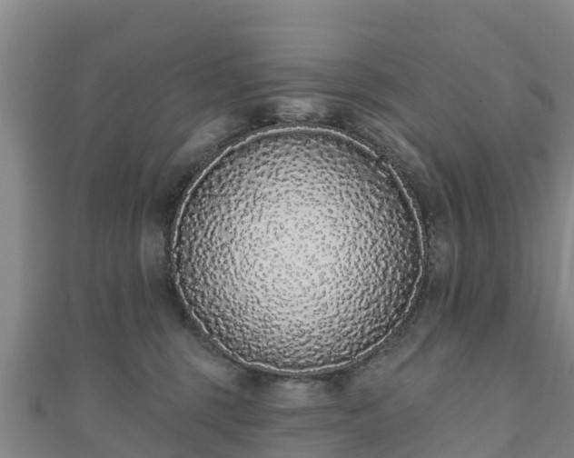 X0000110720375200906191511