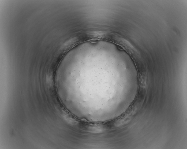 X0000110720377200906191511