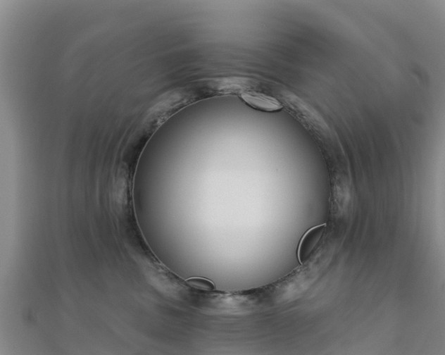 X0000110720379200906191511