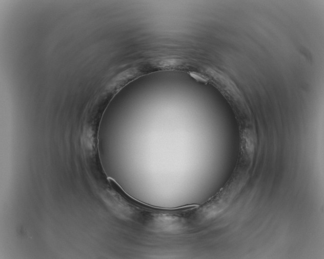 X0000110720380200906191511