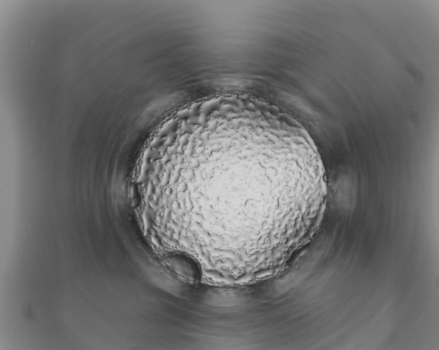 X0000110720381200906191511