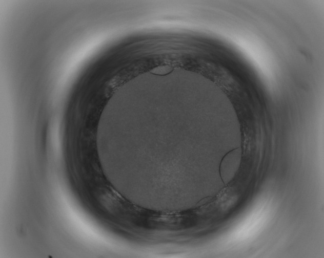 X0000110720383200906191511