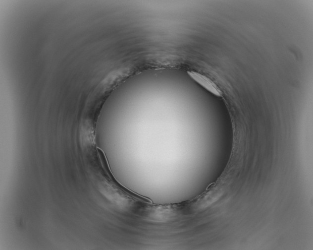 X0000110720384200906191511