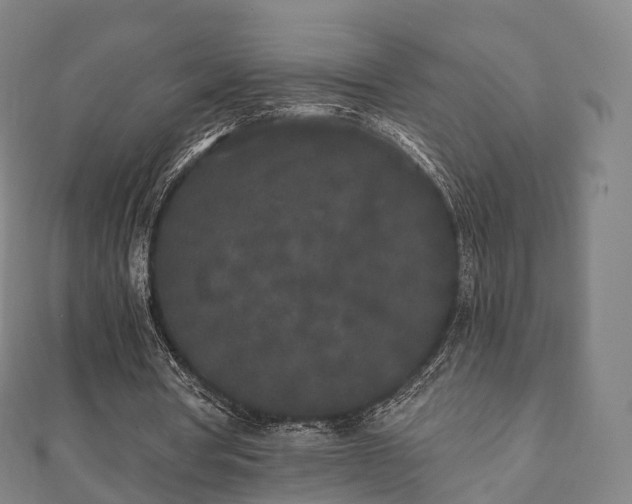 X0000110720386200906191510