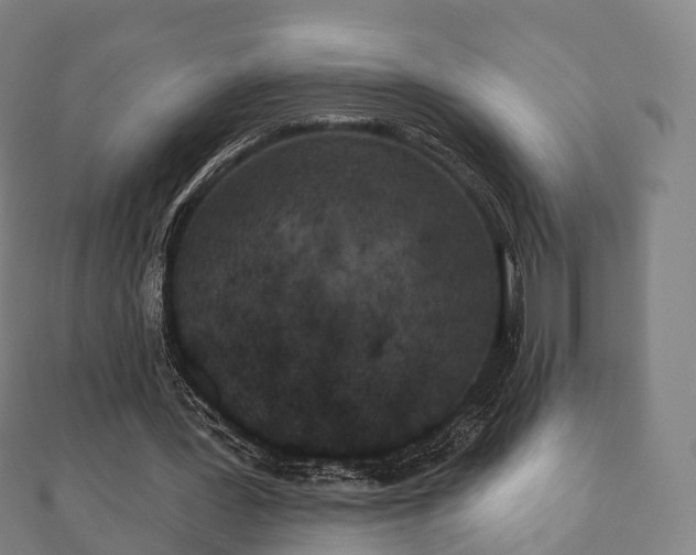 X0000110720387200906191510