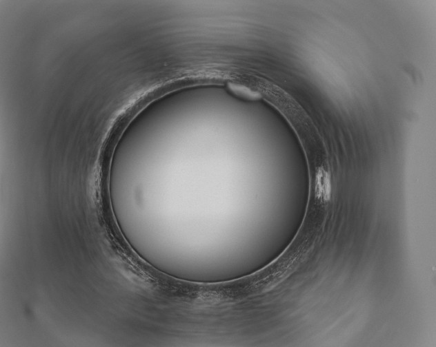 X0000110720388200906191510