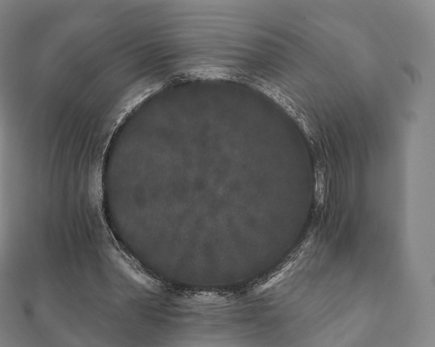 X0000110720390200906191510