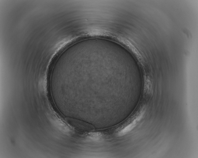 X0000110720391200906191510