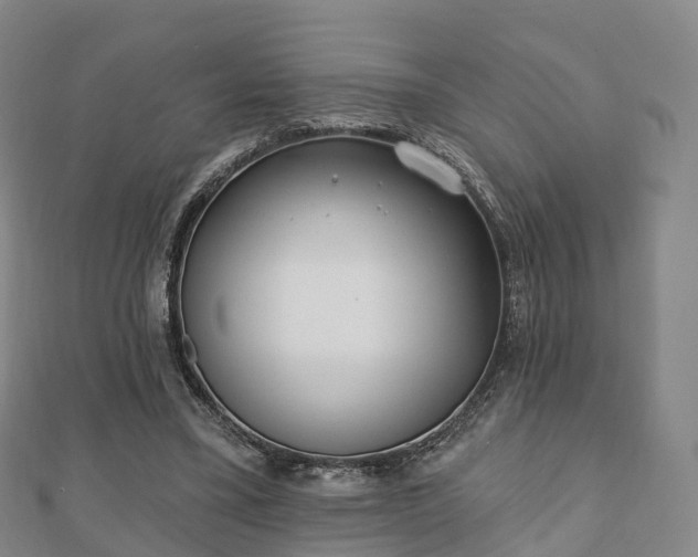 X0000110720395200906191510