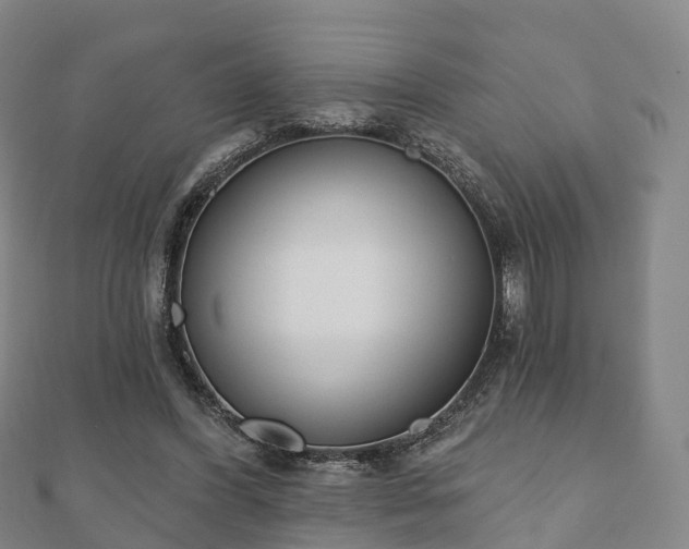 X0000110720396200906191510