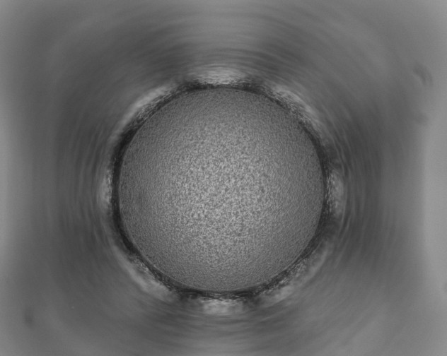 X0000110720400200906191510
