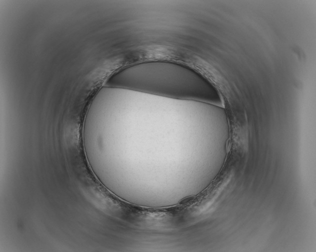 X0000110720401200906191510