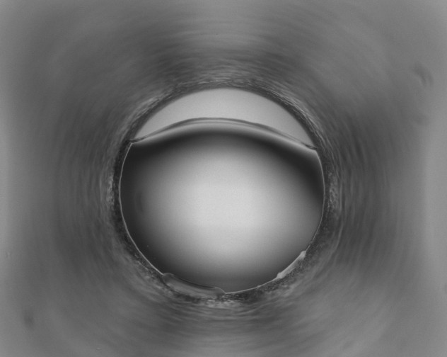 X0000110720403200906191510