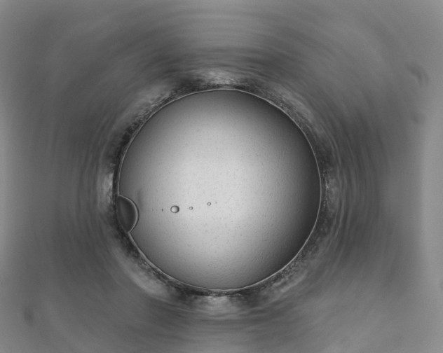 X0000110720406200906191510