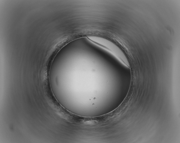 X0000110720407200906191510