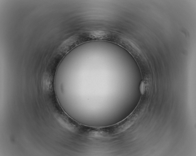 X0000110720408200906191510