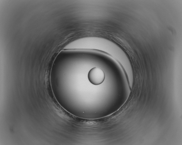 X0000110720409200906191510