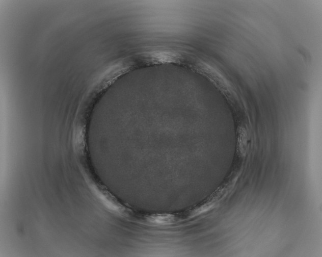 X0000110720410200906191510