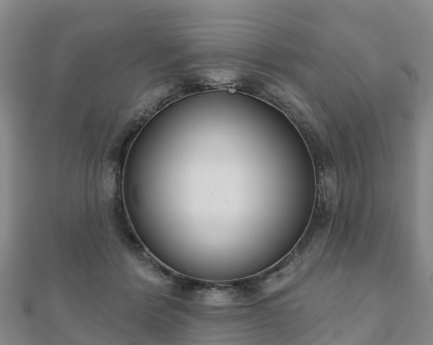 X0000110720412200906191510