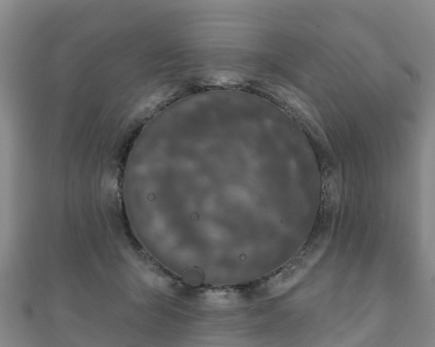X0000110720415200906191510