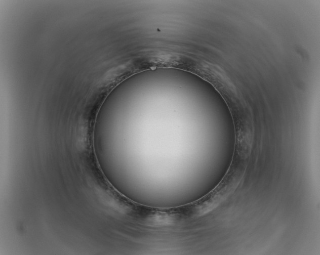 X0000110720416200906191510