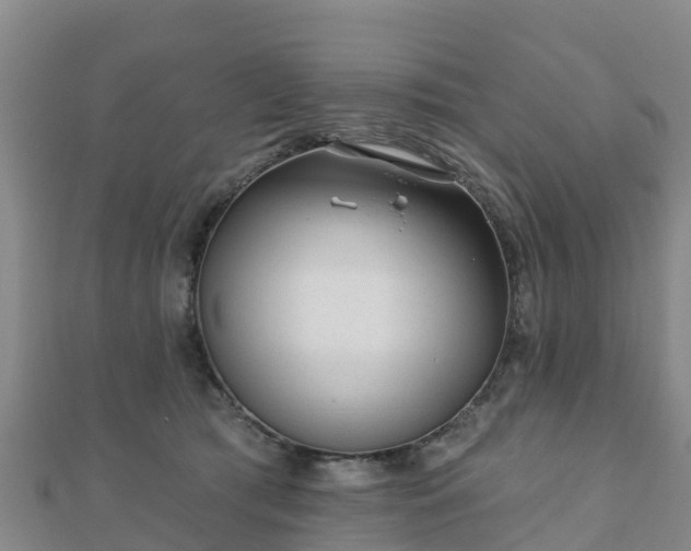 X0000110720417200906191510