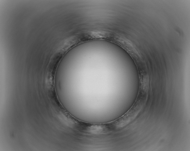 X0000110720418200906191510
