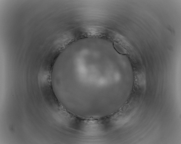 X0000110720419200906191510