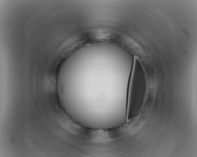 X0000110720421200906191510