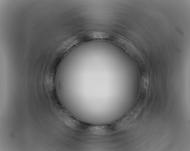 X0000110720422200906191510