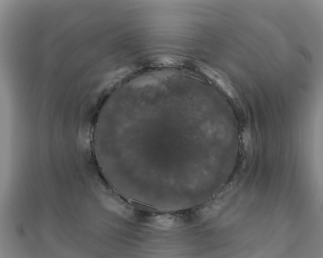 X0000110720423200906191510