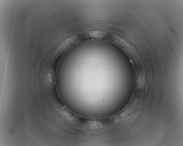 X0000110720424200906191510