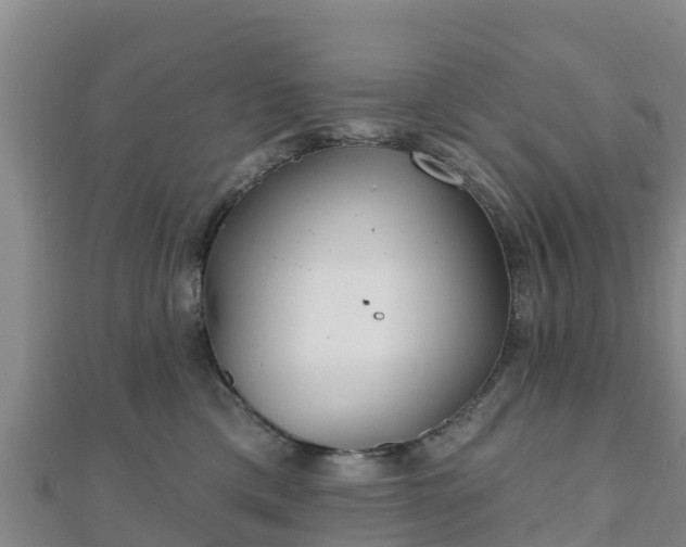 X0000110720425200906191510