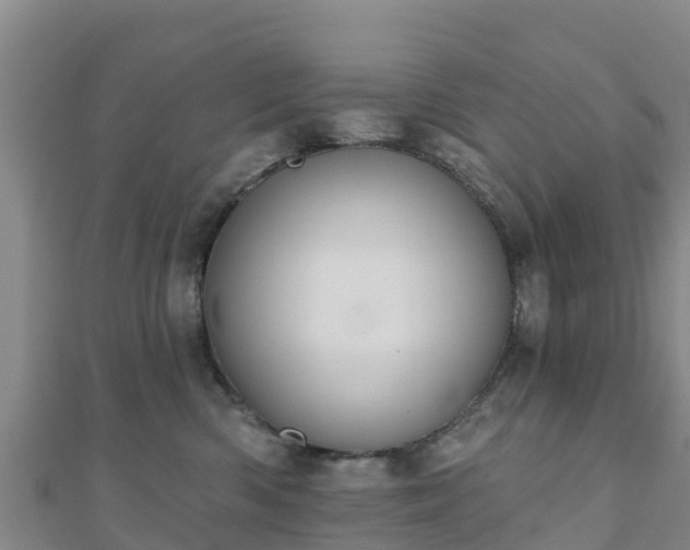 X0000110720426200906191510