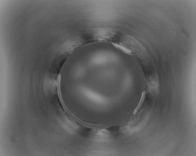 X0000110720427200906191510
